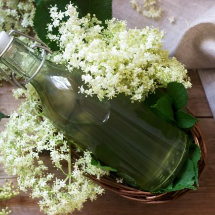 bazový sirup